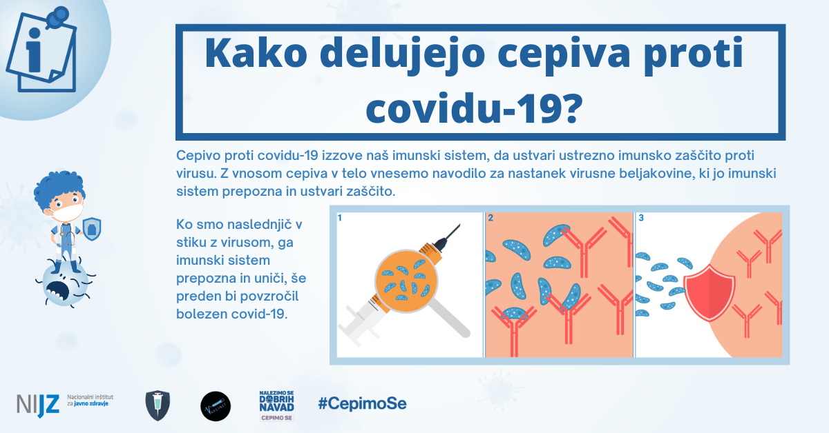 Cepljenje proti covidu-19 in gripi za študente in zaposlene