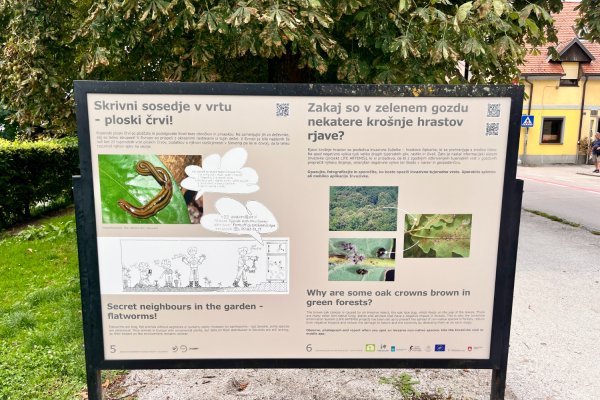 UP projects featured at the Citizen Science Exhibition